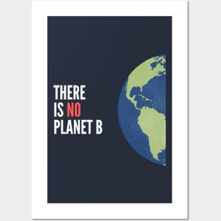 No Planet B Posters and Art